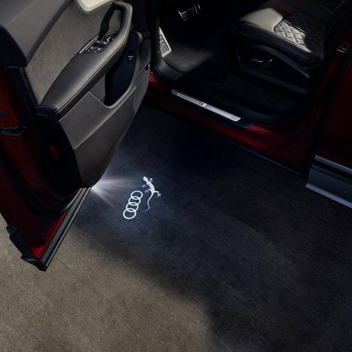 Door entry LED lights, Audi Gecko