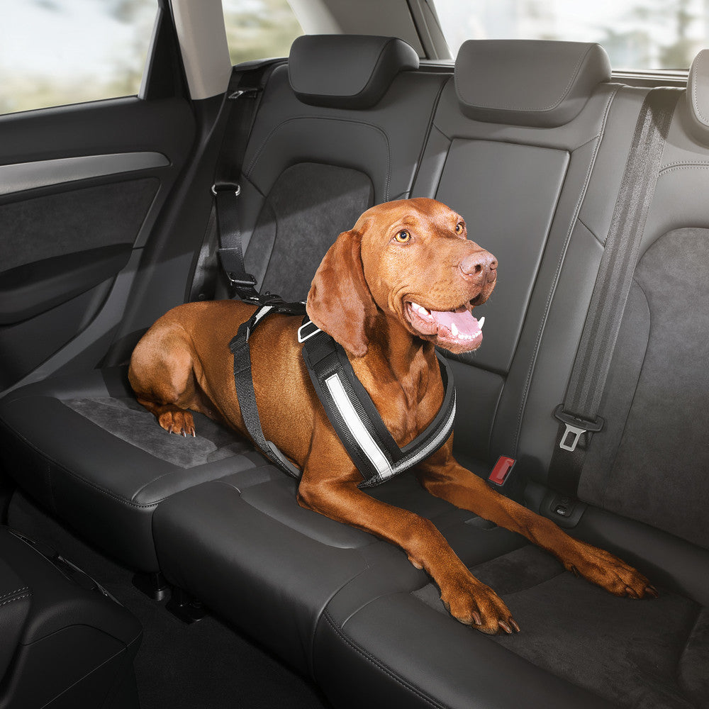 Safety harness for dogs. Large
