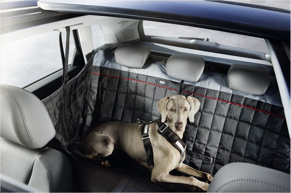Safety harness for dogs. Extra large