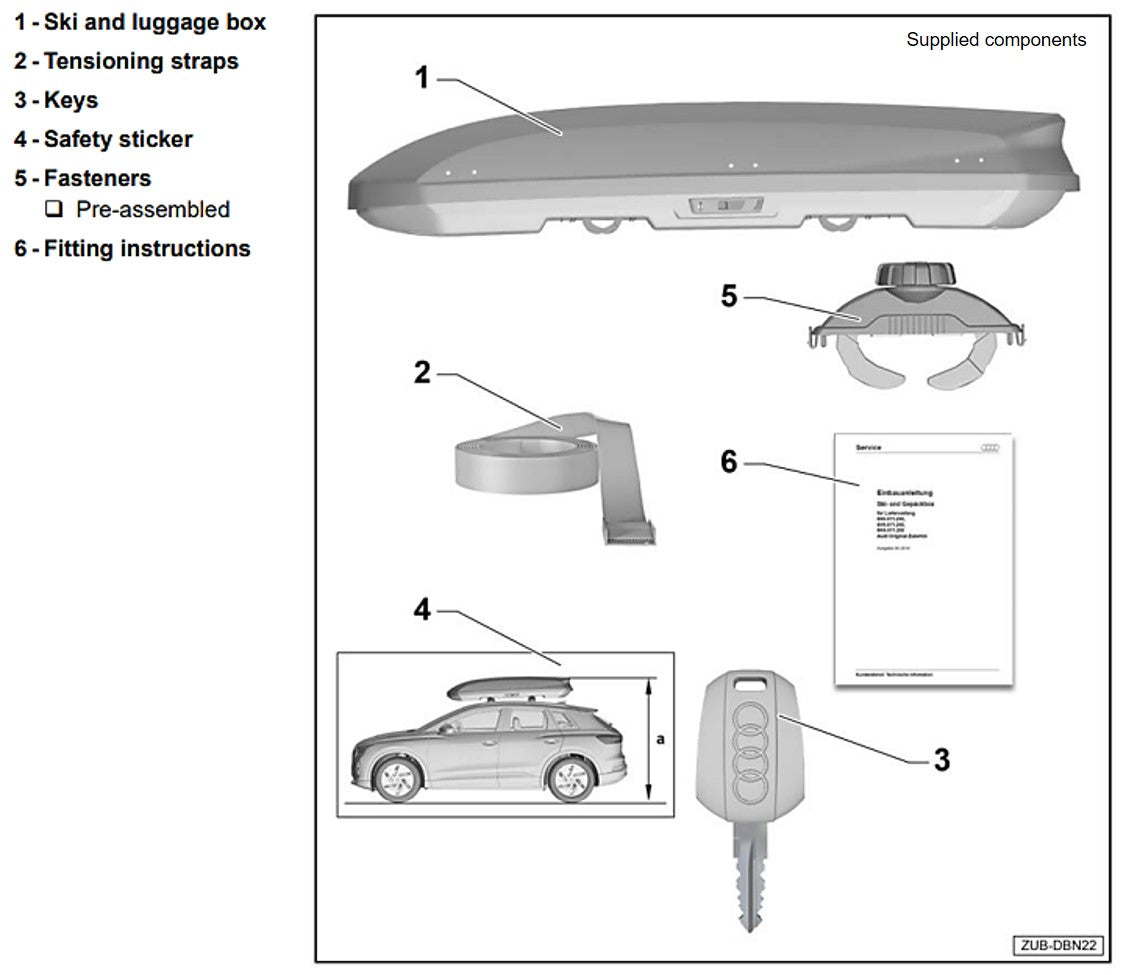 Audi black 250L Roof Box