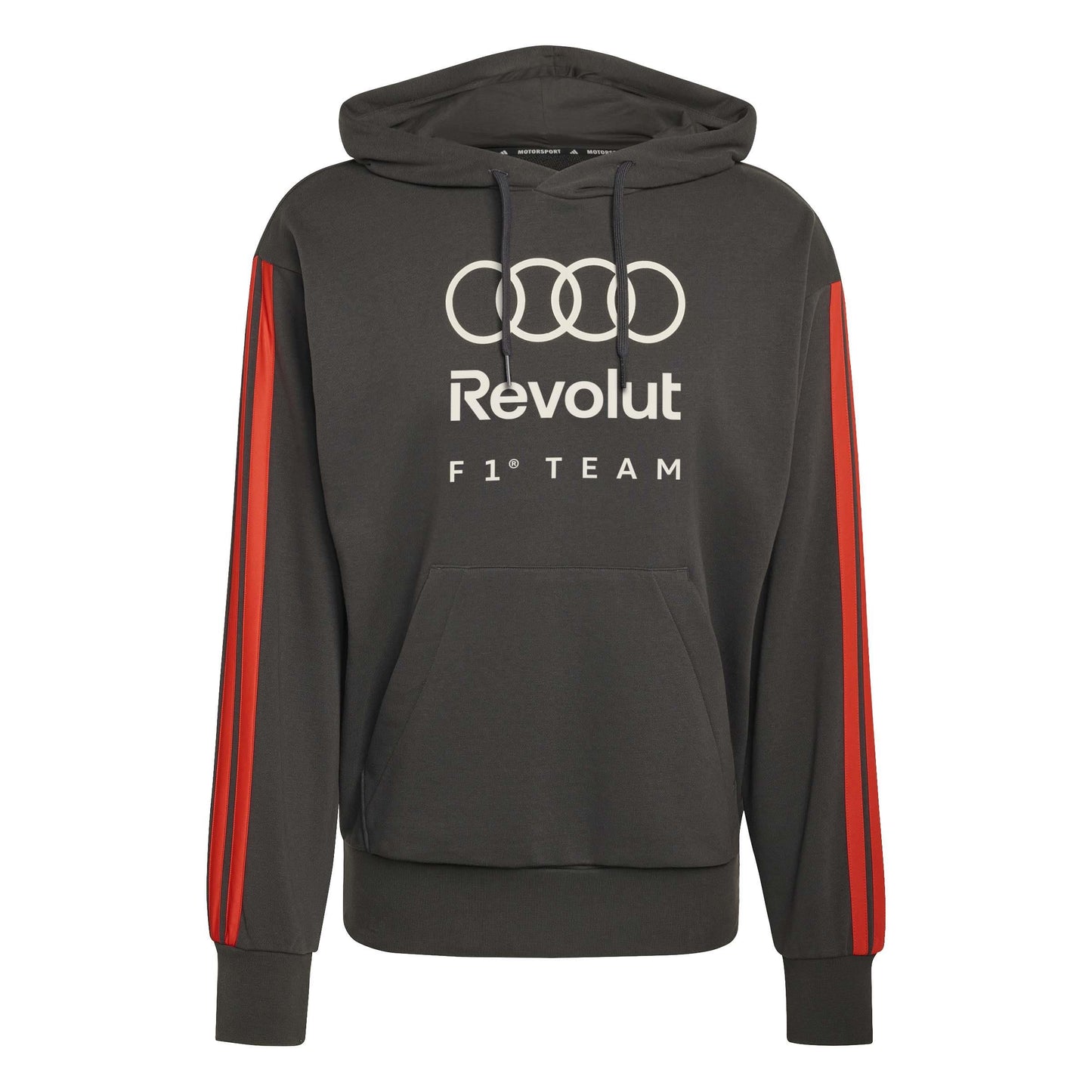 Audi Formula 1 Fan French terry hoodie, men's