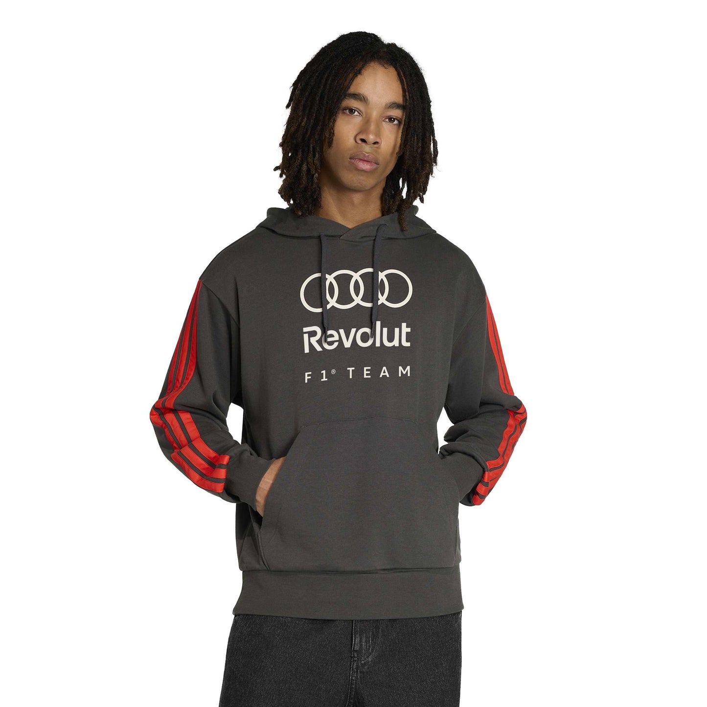 Audi Formula 1 Fan French terry hoodie, men's