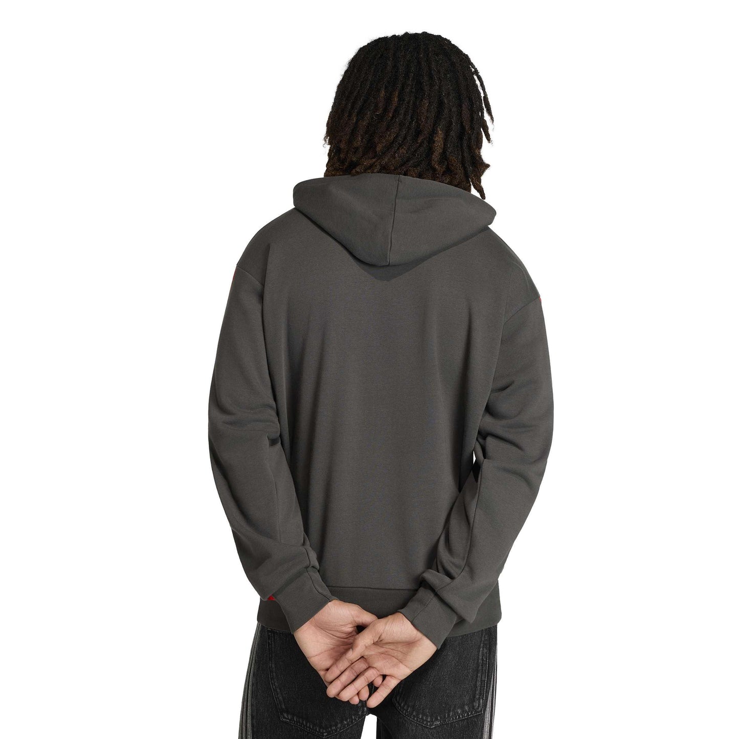 Audi Formula 1 Fan French terry hoodie, men's