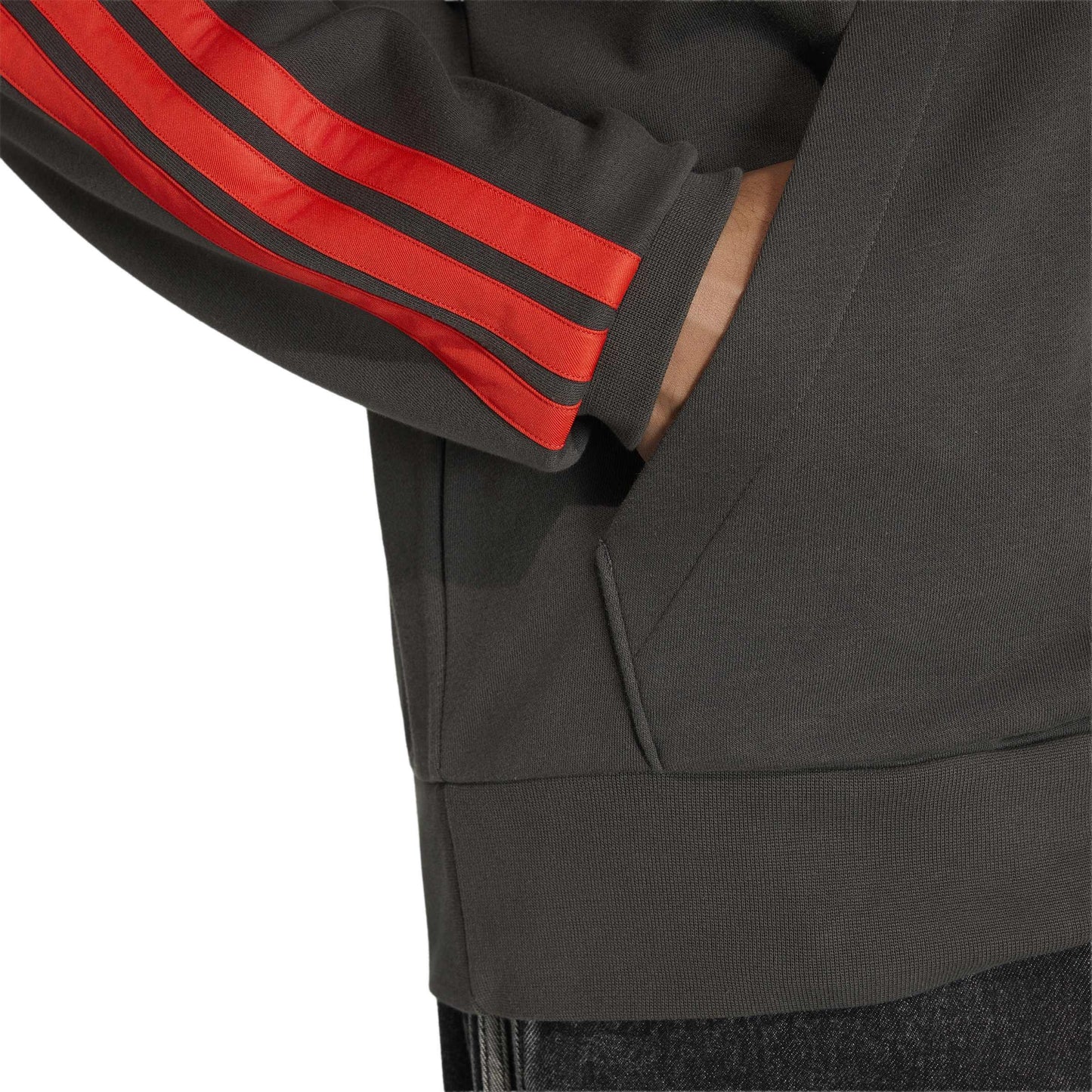 Audi Formula 1 Fan French terry hoodie, men's