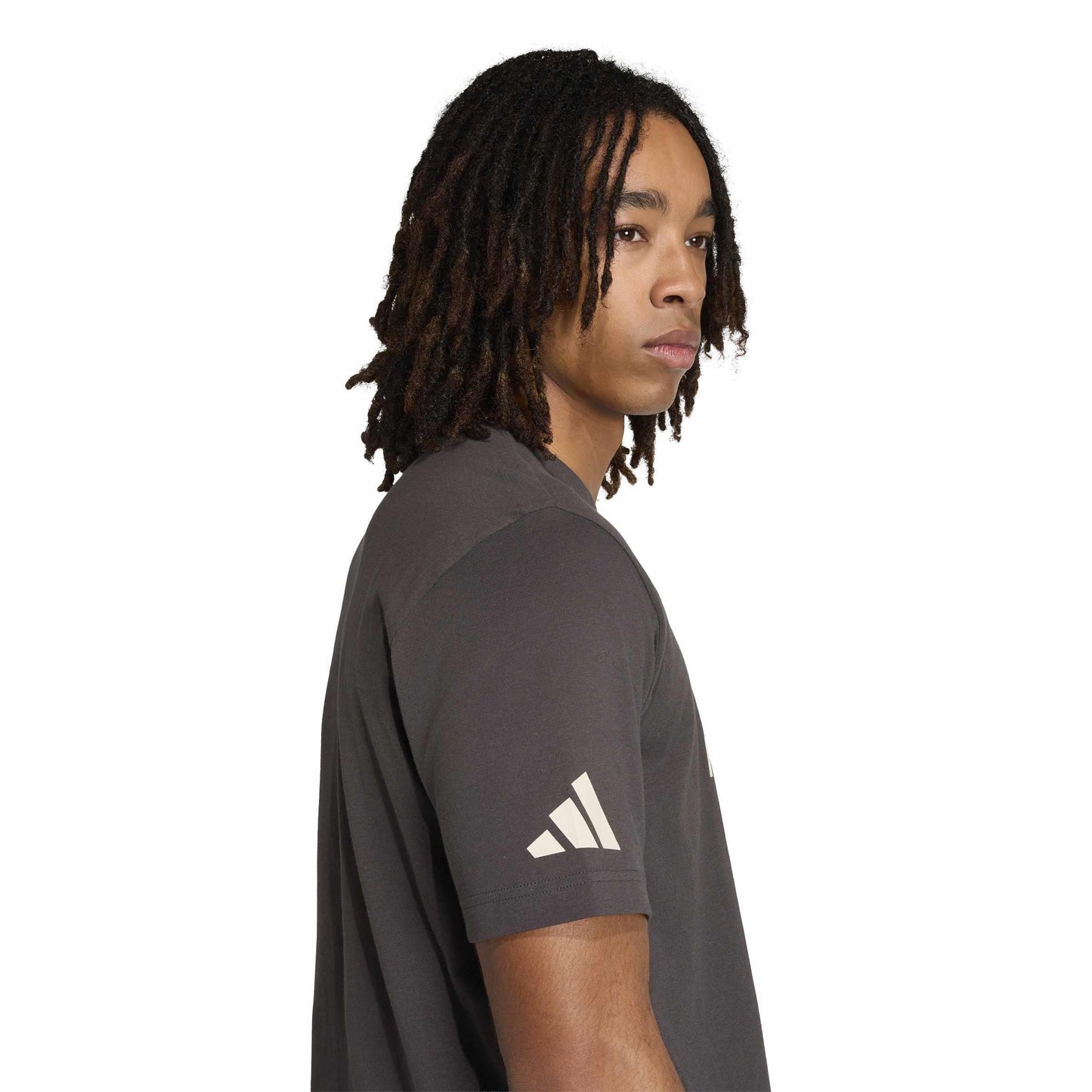 Audi Formula 1 Fan graphic T-Shirt, men's