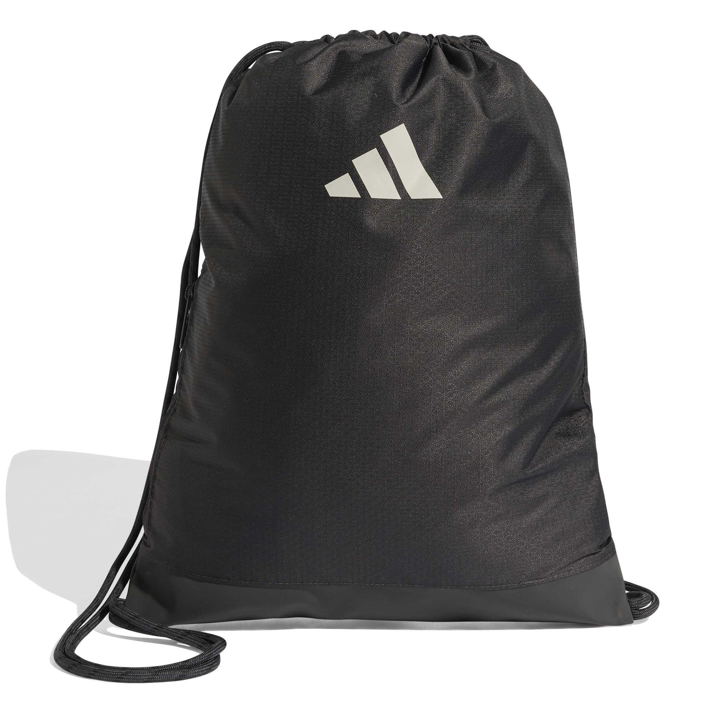 Audi Formula 1 Fan gym bag