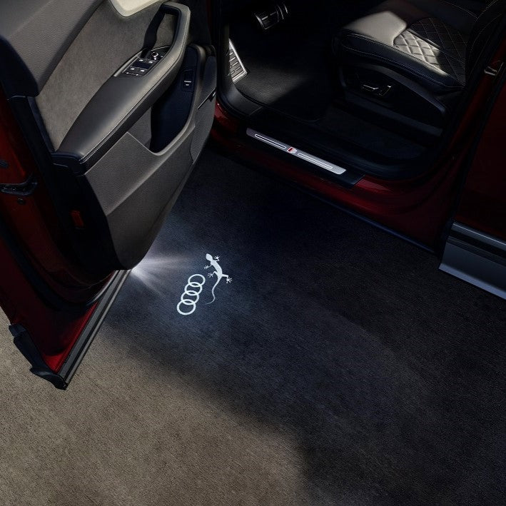 Door entry LED lights, Audi Geko