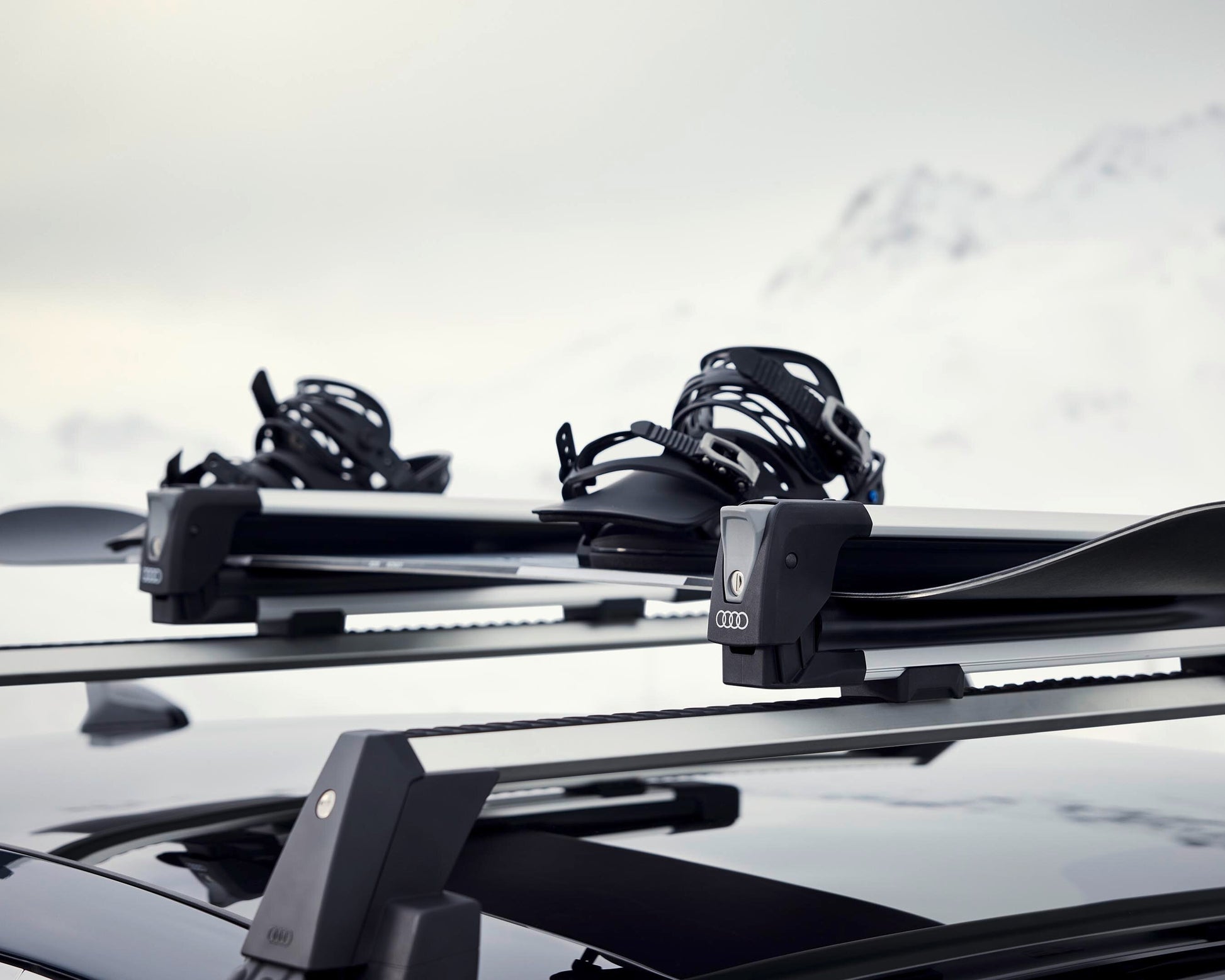 Skiträger-Aufsatz Top Ski für TowBox V1 - für 4 Paar Ski oder 2 Skiträger-Aufsatz Top Ski für TowBox V1 - für 4 Paar Ski oder 2
