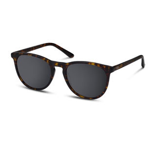 Audi Sunglasses, brown/Havana