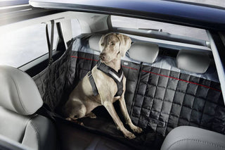 Safety harness for dogs. Extra large